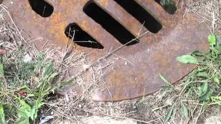 Freaky Sounds From A Drain in River Grove IL 9/13/14