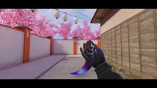 Karambit "Nebula" pattern 917 + Gloves "X-Ray" Standoff 2