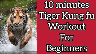 real timing kung fu class / tiger kung fu for beginners / tiger claw , kick , punch