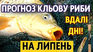 Календар рибалки на липень. Прогноз клювання риби. Місячний Календар рибалки 2023 для України