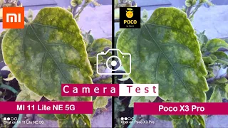 Mi 11 Lite NE 5G vs Poco X3 Pro | Camera Comparison | Camera Test | | Tech Song |