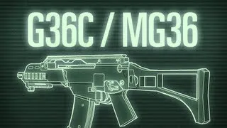 Weapons of Modern Warfare - G36C / MG36
