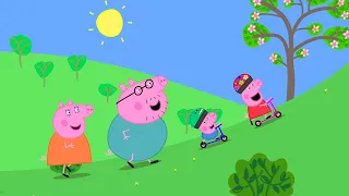 La carrera de scooters | Peppa Pig en Español Episodios Completos