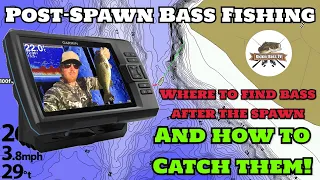 Post Spawn Bass Fishing - Where To Find Bass After The Spawn & How To Catch Them!