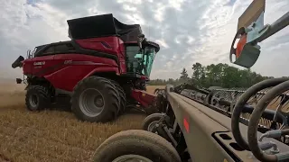 New Case IH AF11 Combine Harvesting Corn Soybeans & Wheat #GoBig