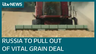 Fears of world food crisis as Russia says it is pulling out of key Ukraine grain deal | ITV News