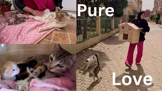 Pure love between a mama cats and the couple who help her every day.