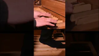 Bach BWV 639 with my Homemade Pipe Organ - Solaris theme #shorts