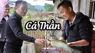 Khám phá ngôi làng người Tày Top 10 đẹp nhất Việt Nam cùng Nguyễn Tất Thắng ở Hà Giang