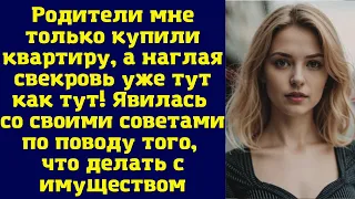 Родители мне только купили квартиру, а наглая свекровь уже тут как тут! Явилась со своими советами