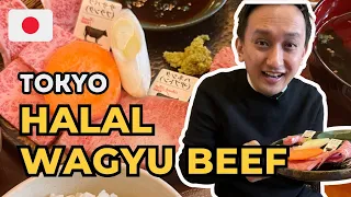 USD35 Japanese halal wagyu Yakiniku lunch set at Panga in Okachimachi, Tokyo | halal food in Japan