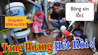 Chú chó đi hai chân| Bông bé bỏng và Mèo ido PHÁ TANG HOANG nhà cửa và cái kết đáng đời