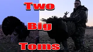 Turkey Hunting: Two Big Toms!