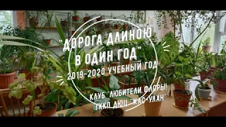 Творческий отчет клуба Любители флоры