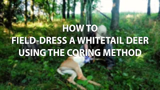 How To Easily Field-Dress a Whitetail Deer Using the Coring Method