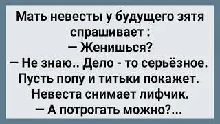 Как Будущий Зять Невесту Щупал! Сборник Свежих Анекдотов! Юмор!