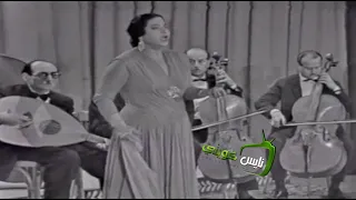 ام كلثوم  - ليلي ونهاري