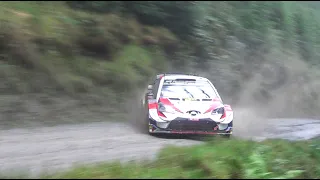 BEST OF WRC RALLY 2019 - FLAT OUT