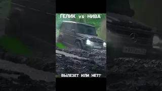 ГЕЛИК vs НИВА