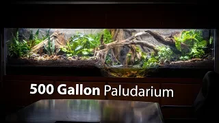 I Built a 500 GALLON PALUDARIUM at Pondemonium