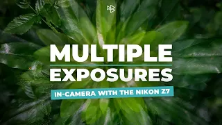 In-camera Multiple Exposure With the Nikon Z7