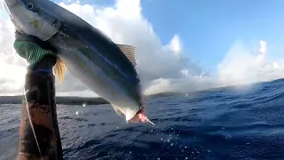 Great barracuda eat my fish | fishing trip🇯🇲