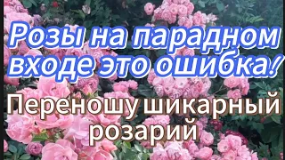 Переношу любимый розарий.Сомневаюсь.Ошибки плохо обдуманного проектирования сада -дорого обходятся