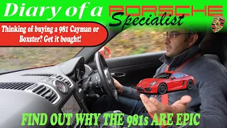 Porsche 981 Series - Thinking of buying one? BUY IT NOW! Episode 11 - Diary of a Porsche Specialist