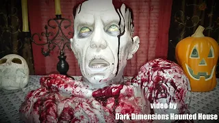 Distortions Unlimited Brain Bowl Horror Prop Perfect for Halloween Decoration Display Haunted House