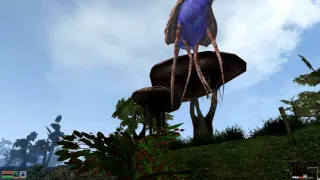 Morrowind Visual Comparison - PC (MGSO) vs. Xbox (Modded)