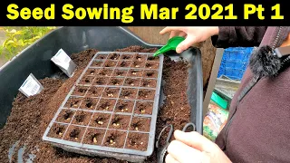 Seeds to Sow in March | Seed Sowing in March | Vegetable Sowing | No Rush to sow | Green Side Up