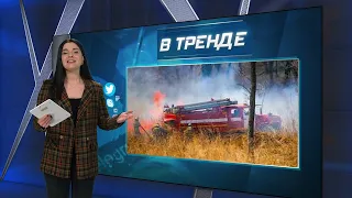 В Приморье началось более 40 пожаров! Обращение главы округа С ОГОНЬКОМ | В ТРЕНДЕ