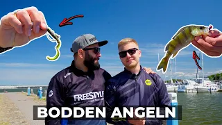 BODDEN ANGELN im Sommer | Uferangeln im Norden Deutschlands