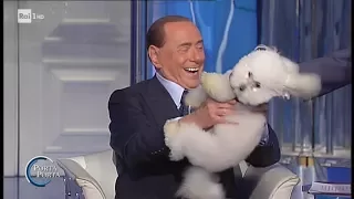 Silvio Berlusconi, il barboncino e la poesia di Madre Teresa - Porta a Porta 21/06/2017