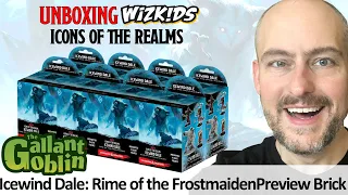 PREVIEW: Unboxing Icewind Dale: Rime of the Frostmaiden brick - D&D Icons of the Realms Minis