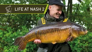 LIFE @ NASH 2 - CARP FISHING BEHIND THE SCENES!