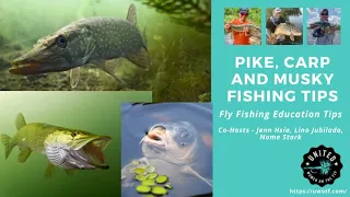 August 2021 UWOTF - Pike, Carp and Musky Fly Fishing Tips and Techniques