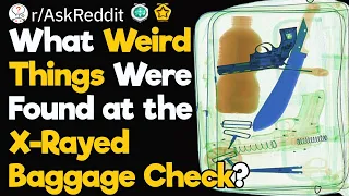 The Most Disturbing Things Found at the X-Rayed Baggage Check in Airports