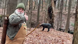 Traditional bow shooting at the Archery Club