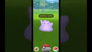 Caught most powerful Ditto 🥲 #shorts #ditto #transform #oh? #ultragoo #pokemon #gotcha #game #spawn