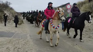 Strao 2023-02-11 Paarden Renesse