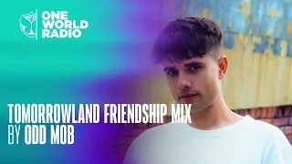 Tomorrowland  - Friendshipmix  - Odd Mob