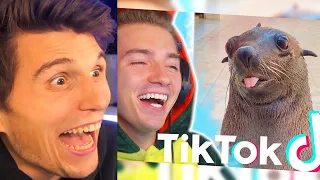 Paluten REAGIERT auf die lustigsten TIERE auf TikTok mit Mexify!