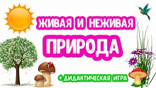 Живая и НЕживая ПРИРОДА развивающее видео, дидактическая игра