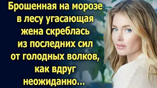 Брошенная на морозе в лесу угасающая жена скреблась из последних сил, как вдруг неожиданно…