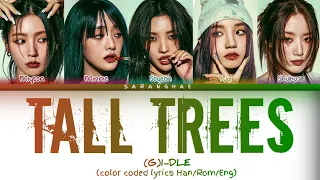 (G)I-DLE Tall Trees (color coded lyrics Han/Rom /Eng) @official_g_i_dle