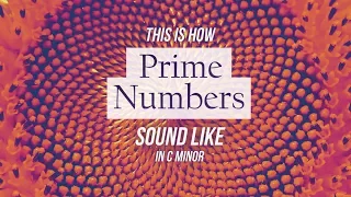 This is how prime numbers sound like in C minor!