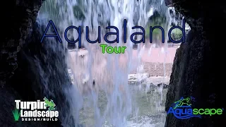 Aquascape tour