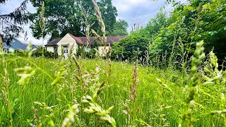 ELDERLY LADY passed away, NOBODY would MOW OVERGROWN YARD, WE did It for FREE