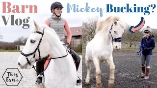 Mickey Bucking on the Lunge + Jumping Lesson with Casper - a Chaotic Barn Vlog AD | This Esme